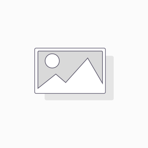 Standard Plan (Web + Delivery App) 
